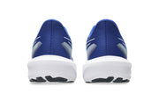 Asics GT 1000 15, Men's