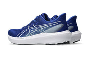 Asics GT 1000 15, Men's