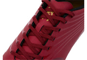 Canterbury Stampede GRB TMSG, Unisex