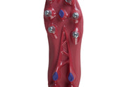 Canterbury Phoenix Genesis Team SG, Men's